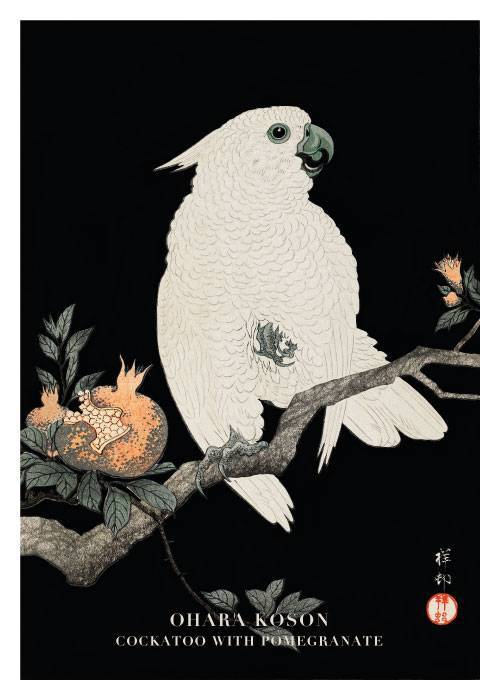 Cockatoo With Pomegranate – Kunst