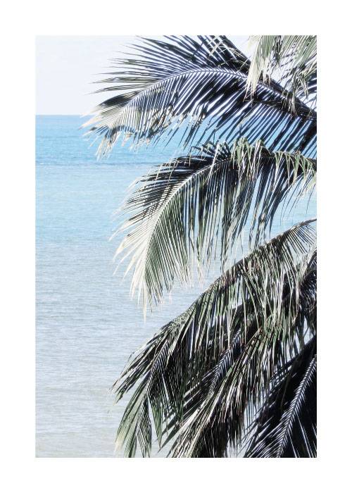 Palm Leaves And Ocean – Naturmotiver