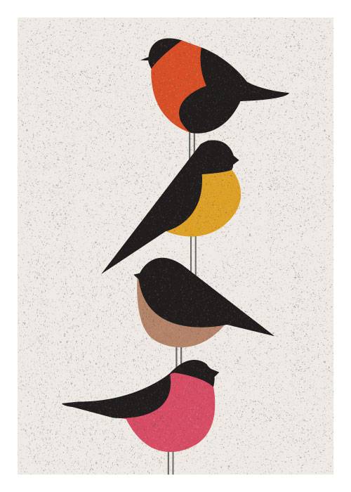 4 Colourful Birds – Grafiske Plakater