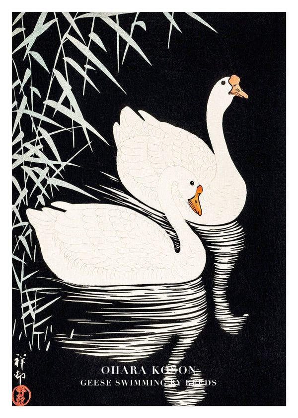 Geese Swimming By Reeds – Kunst