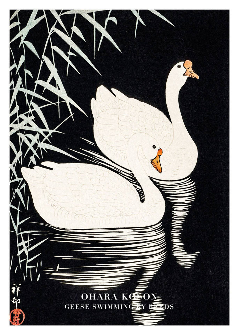 Geese Swimming By Reeds – Kunst
