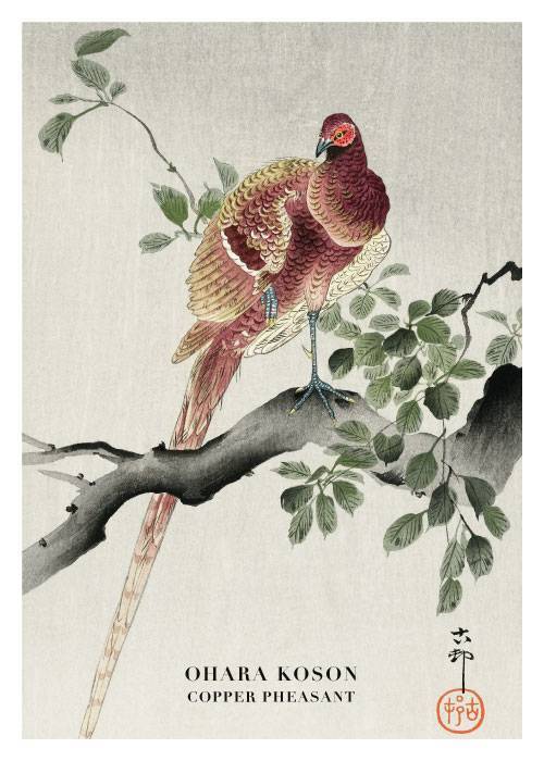 Copper Pheasant – Kunst