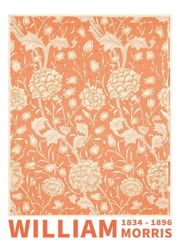 Wild Tulip – Kunst