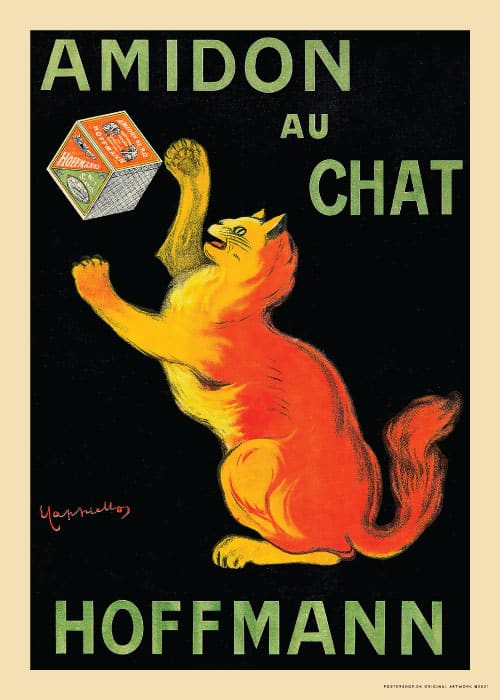 Amidon Au Chat Leonetto Cappiello – Kunst