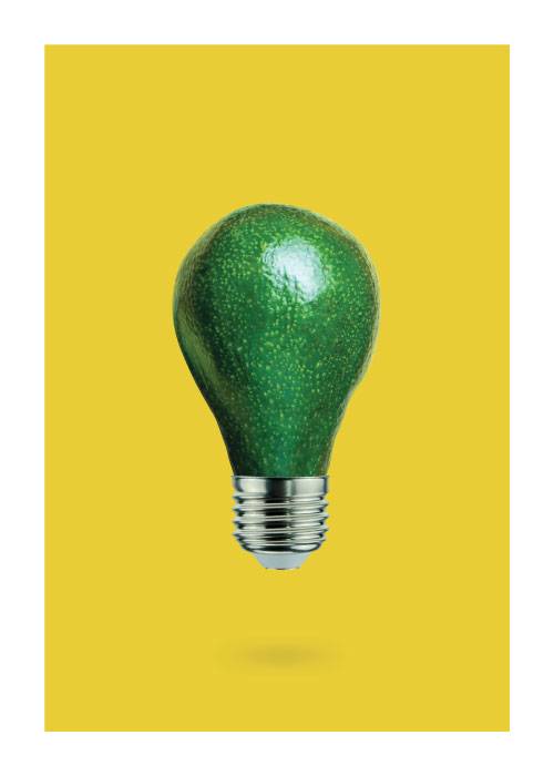 Avocado Bulb – Digiart