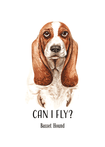 BASSET HOUND – Børneplakater