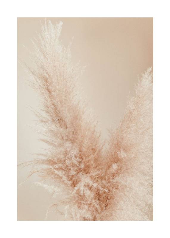 Beige Dream No.2 – Blomster og Botanik