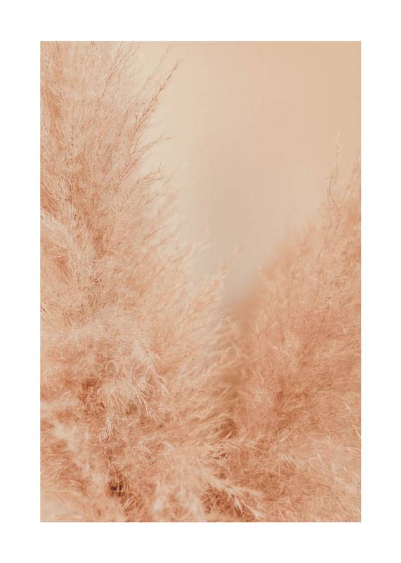 Beige Dream No.3 – Blomster og Botanik