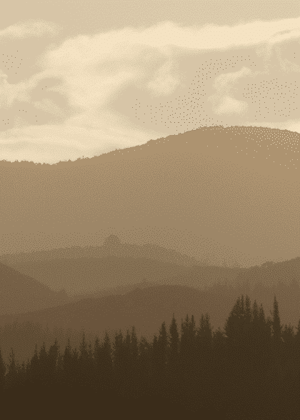 Beige Silhouettes No. 2 – Naturmotiver