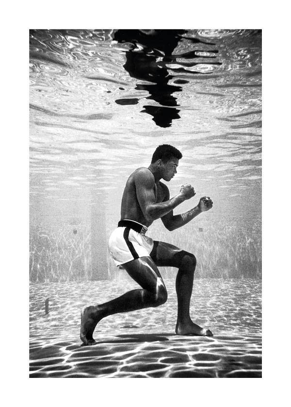 Born To Fight – Fotokunst