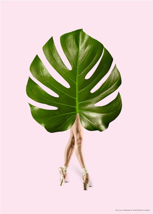 Ballet Leaf Pink – Digital Art