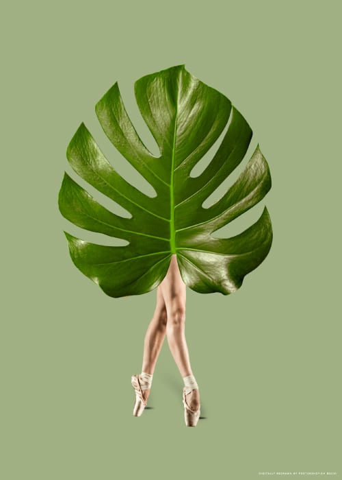 Ballet Leaf Green – Digital Art