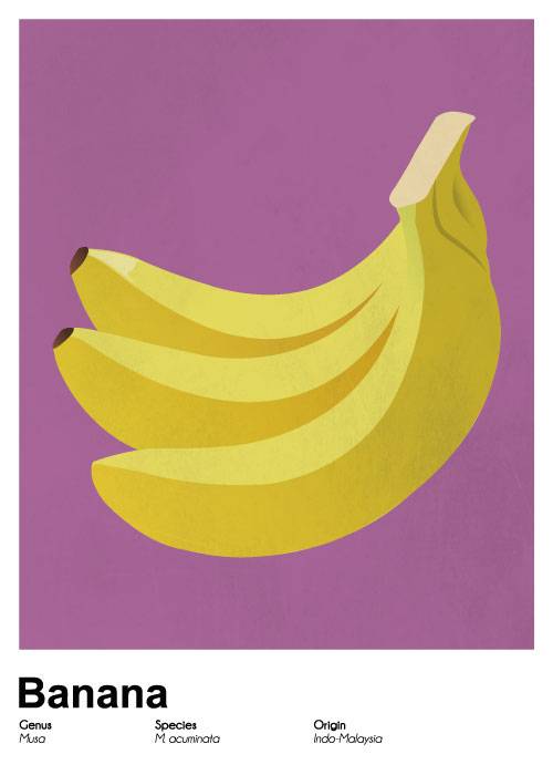 Banana Poster