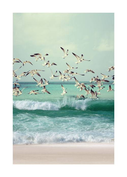 Bird Call – Naturmotiver