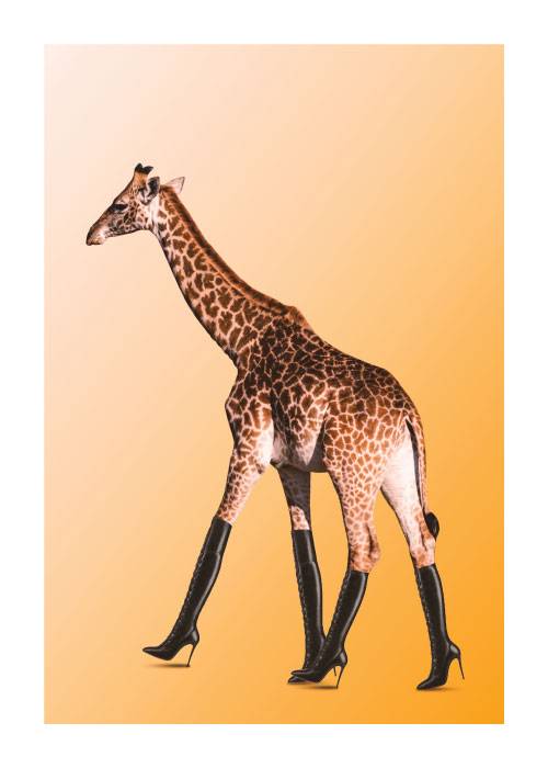 Boots Made For Walking – Digital Art