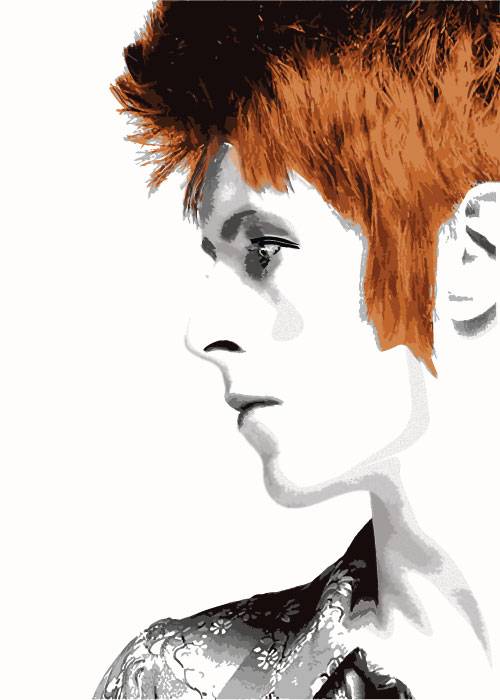 Bowies Profile – Grafiske Plakater