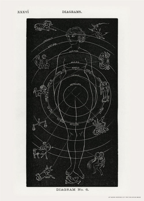 Butler's Solar Biology – Kunst