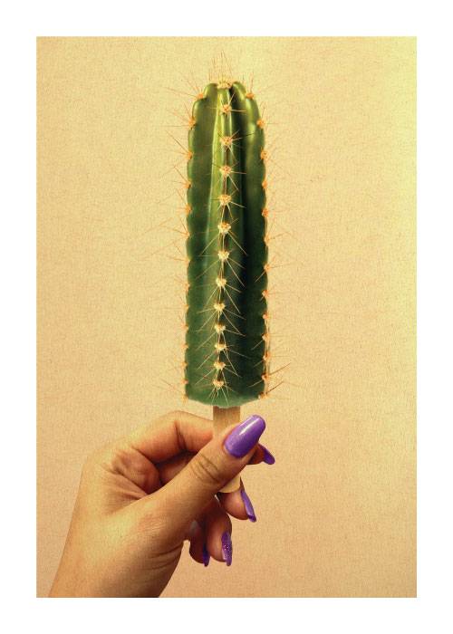Cactus Popsicle – Digiart