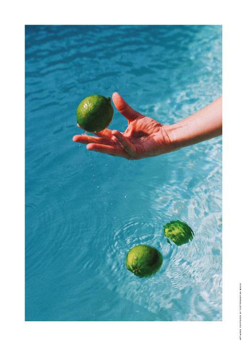 Catch My Limes
