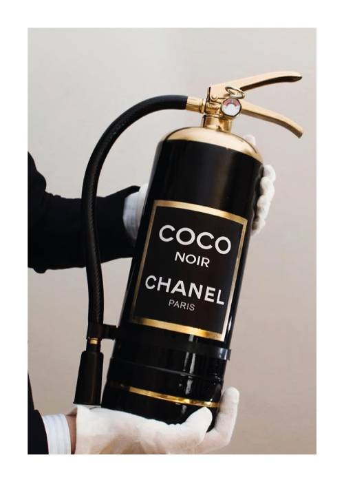 Coco Rescue – Fotokunst