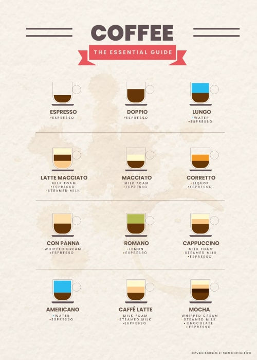 Coffee The Essential Guide