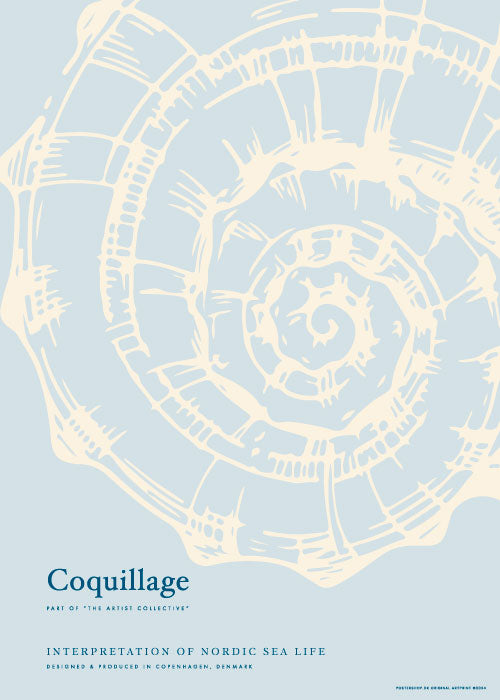 Coquillage Pastelle – Kunst