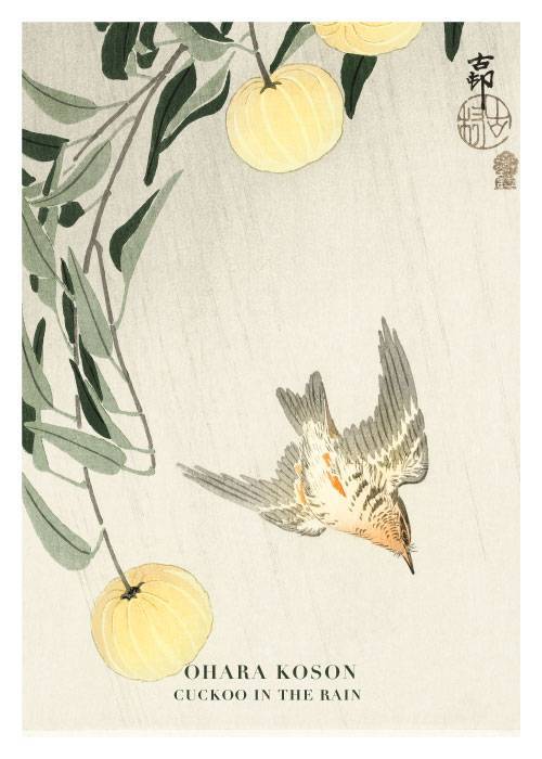 Cuckoo In The Rain – Kunst