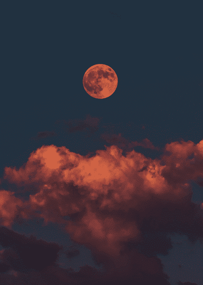 Dawn – Naturmotiver