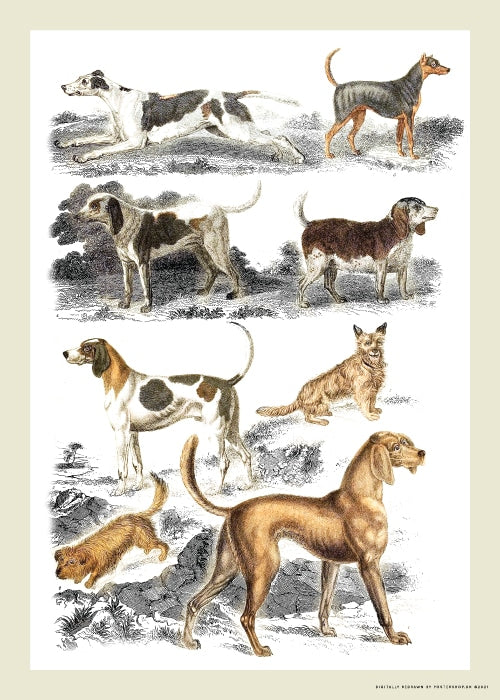 Dogs Vintage No. 1 – Dyreplakater