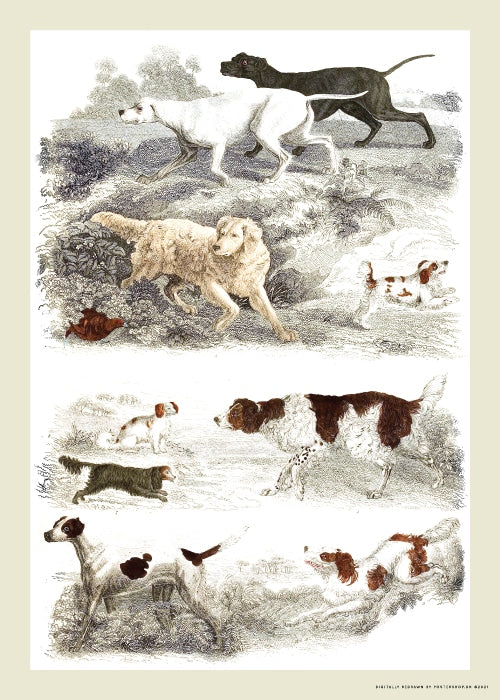 Dogs Vintage No. 2 – Dyreplakater