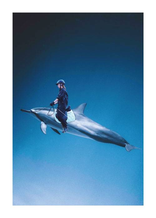 Dolphin Rider – Digiart