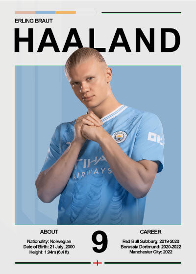 Erling Haaland Career – Fodbold