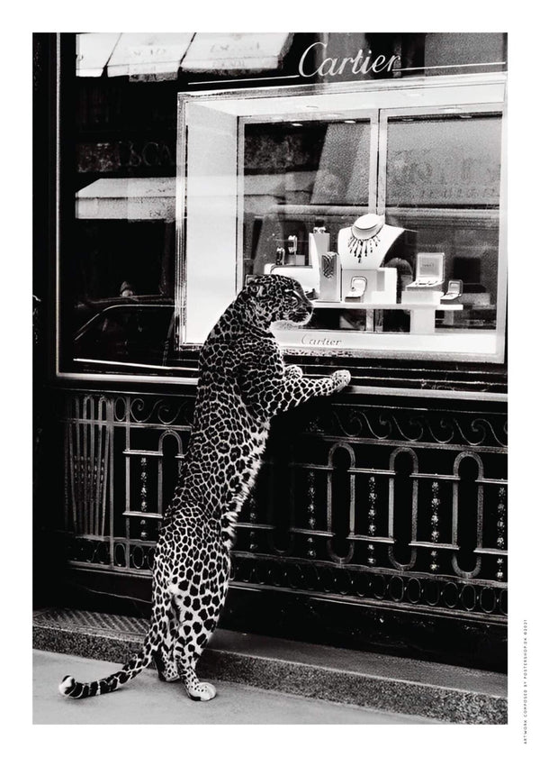Even Cats Love Cartier – Fotokunst