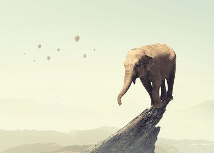 Flying Elephant – Animal Posters