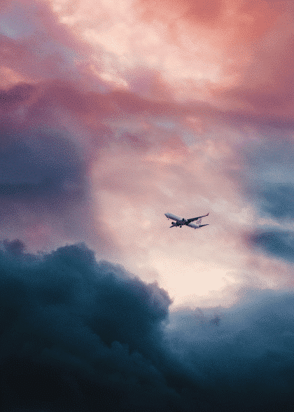 Flying High – Naturmotiver