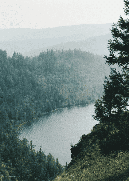 Forest Lake – Naturmotiver