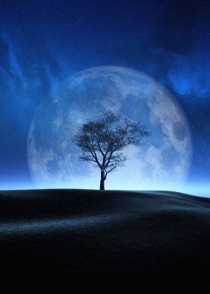 Full Moon – Naturmotiver