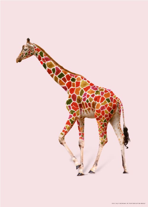 Feeling A Little Colourful Giraffe – Digital Art