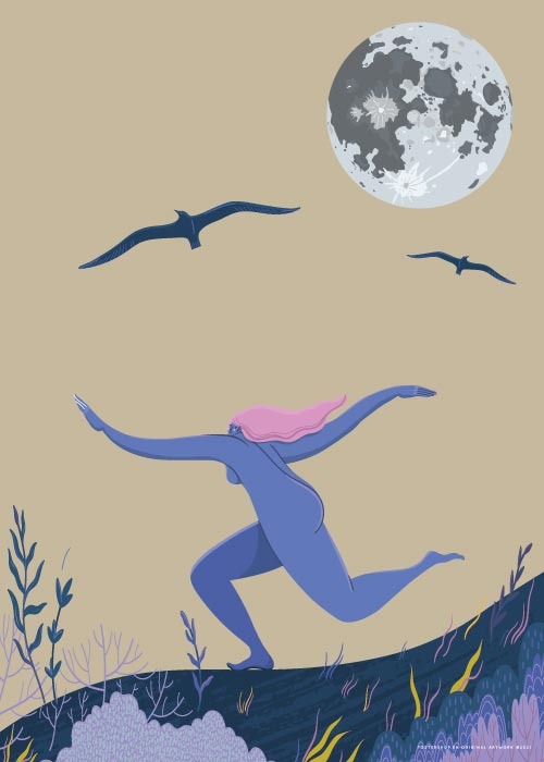 Fly Like A Bird – Grafiske Plakater