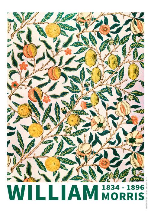 Fruit Or Pomegrante – Kunst