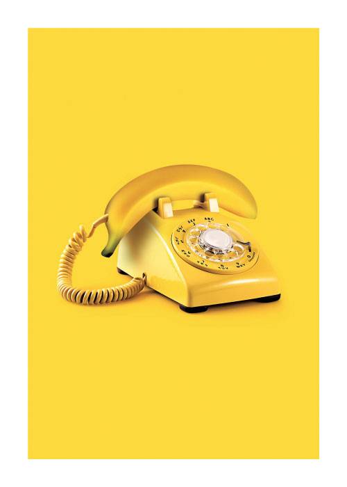Fruity Calls – Digiart