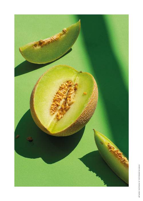 Green Honey Melon