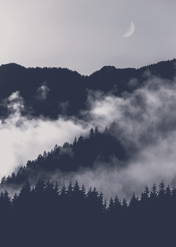 Half Moon – Naturmotiver