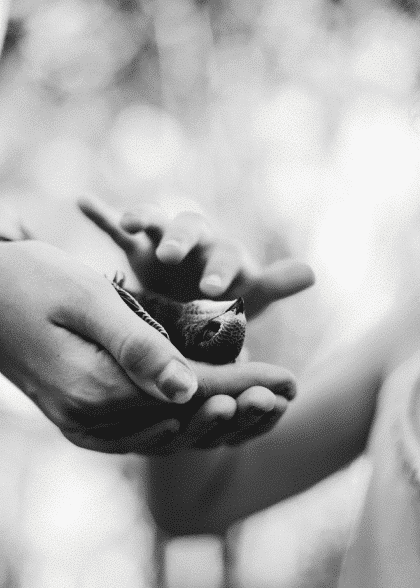 Healing Life – Fotokunst