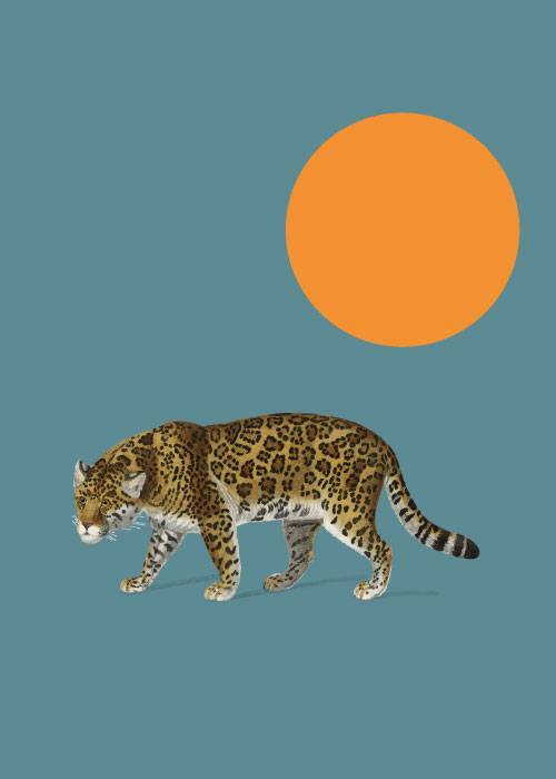 Hunting The Sunset – Grafiske Plakater