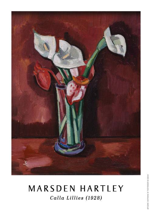 Hartley Calla Lillies – Kunst