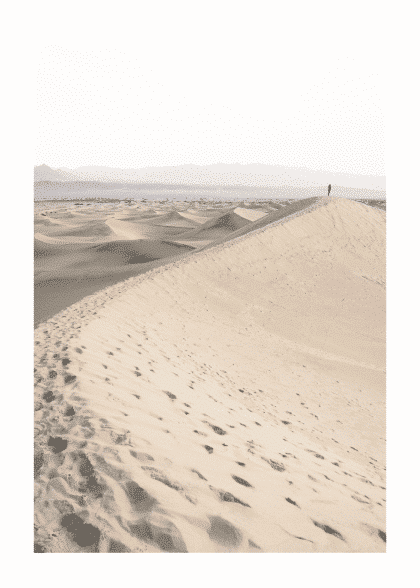 King Of The Sand – Naturmotiver