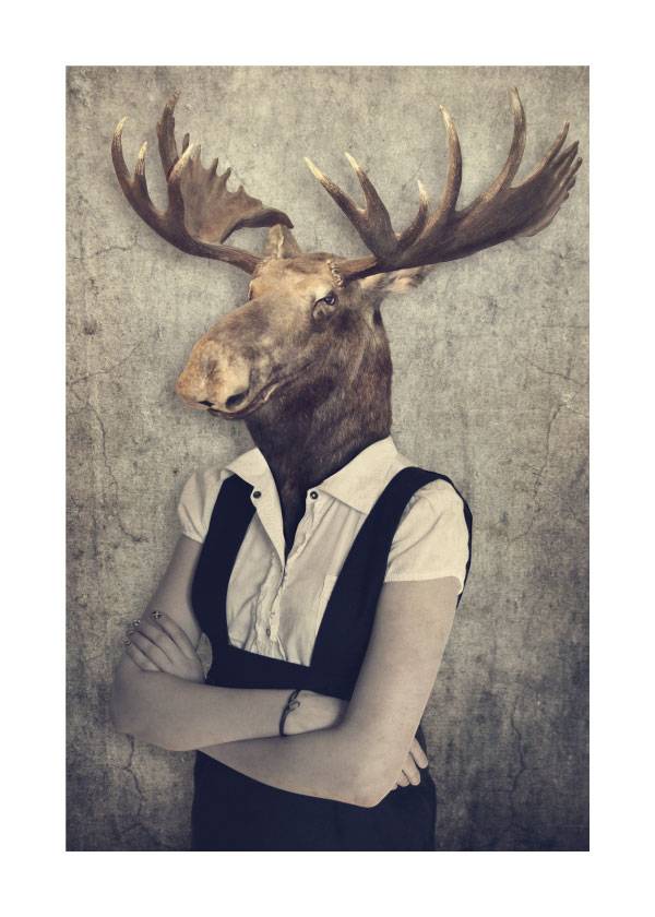 Look At My Deer Head – Fotokunst