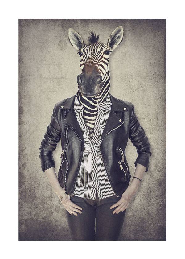 Look At My Zebra Head – Fotokunst
