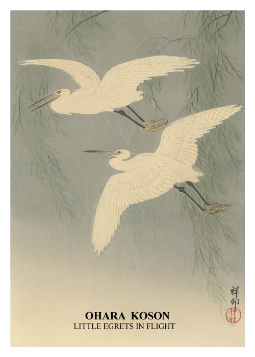 Little Egrets In Flight Ohara Koson – Kunst